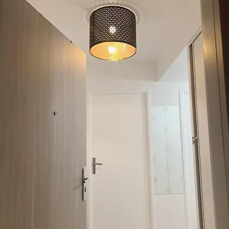 Charme Contemporain Et Balcon Verdoyant A Bois-Colombes